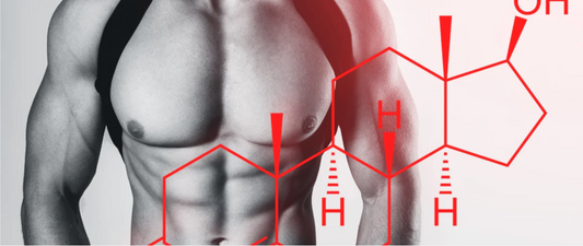 Does your Testosterone Level vary according to your diet?